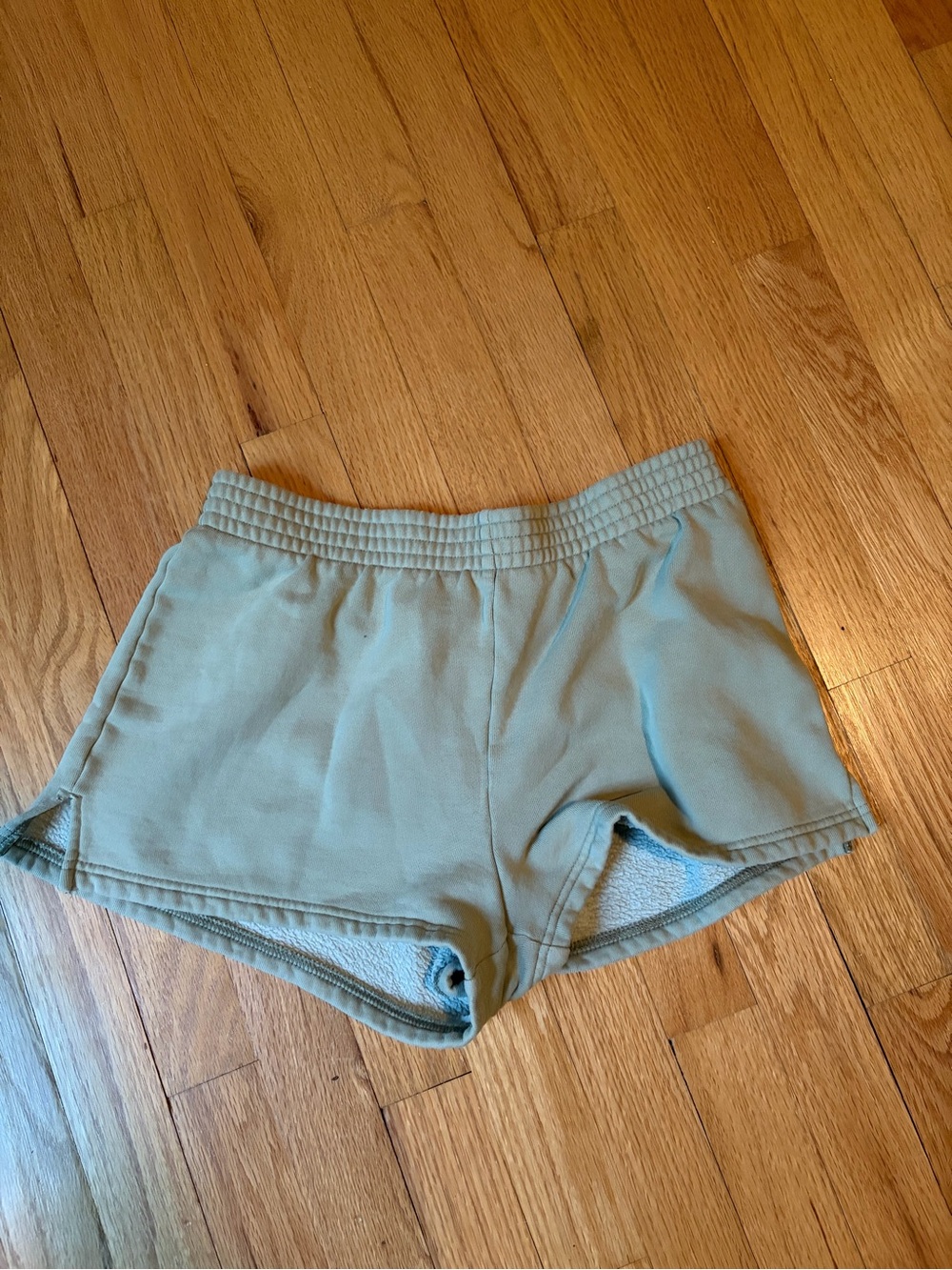 Aritzia TNA sweatshorts